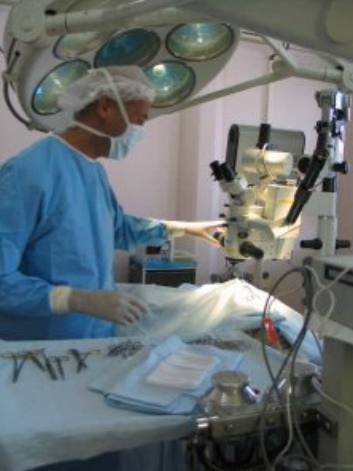 Dr. Omaboe, Vétérinaire Versoix, Veterinaire Versoix, Versoix Veterinaire, Versoix Vétérinaire, cabinet vétérinaire versoix, cabinet veterinaire versoix, clinique vétérinaire versoix, vétérinaire de Garde Versoix,veterinaire de Garde Versoix, Cabinet Vétérinaire International