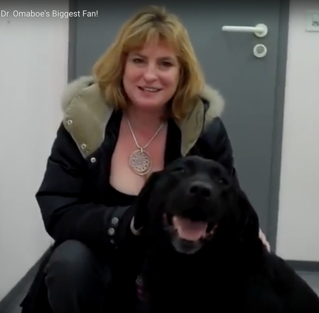 Swift the labrador, Vétérinaire Versoix, Veterinaire Versoix, Versoix Veterinaire, Versoix Vétérinaire, cabinet vétérinaire versoix, cabinet veterinaire versoix, clinique vétérinaire versoix, vétérinaire de Garde Versoix,veterinaire de Garde Versoix, Cabinet Vétérinaire International